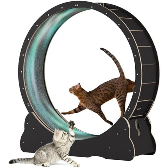 Accessories for Cats Cat Wheel Cat Exercise Wheel for Indoor Cat Pulsive and Training Toys Supplies Pet Products Home Garden