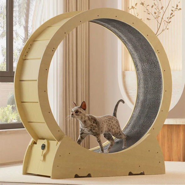 Cat Treadmill Mute Pet Fitness Roller High Fiberboard Anti Pinch Exercise Running Wheel Cat Furniture Cat Climbing Frame Pet Toy