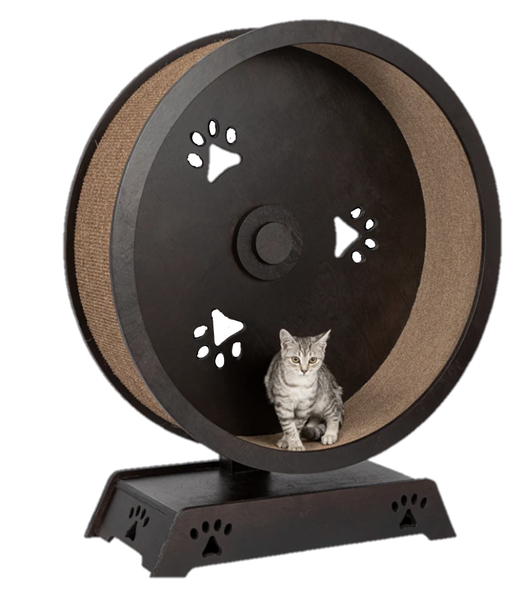 fun cat running wheel Roda kucing Cat Exercise Wheel ODM and OEM Cat Toy
