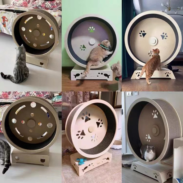 fun cat running wheel Roda kucing Cat Exercise Wheel ODM and OEM Cat Toy