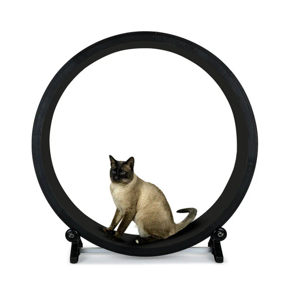 Cat Treadmill Fitness Weight Loss Grinding Claw Exercise Multi-functional Silent Treadmill Cat Toy Cat Running Wheel