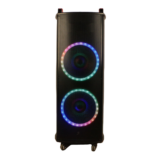 Party Disco Light Led Big Handle Dual 12 Inch Portable Home Karaoke
