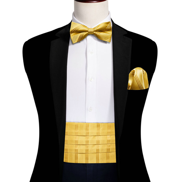 Elegant Gold Silk Cummerbund Men Classic Stripe Bowtie Pocket Square Cufflinks Sets Fashion Wedding Party Designer Barry.Wang