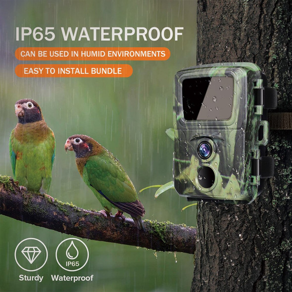 Suntekcam Trail Hunting Camera 20MP 1080P Infrared Outdoor Cameras Suntekcam Trail Hunting Camera 20MP 1080P Infrared Outdoor Cameras