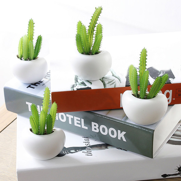 1pcs/Set Fridge Magnets Cute Cactus Succulent Plant photo Magnet Button Refrigerator Message Sticker Home Decoration 1pcs/Set Fridge Magnets Cute Cactus Succulent Plant photo Magnet Button Refrigerator Message Sticker Home Decoration