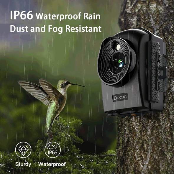 Time Lapse Camera Hunting Captures Professional 1080p Photo & Video Time Lapse Camera Hunting Captures Professional 1080p Photo & Video