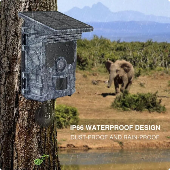 4K HD Hunting Trail Trap Camera Night Vision WiFi Solar Panel Powered 4K HD Hunting Trail Trap Camera Night Vision WiFi Solar Panel Powered