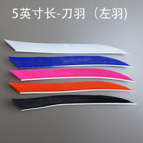 Archery Arrow Feather Turkey | Archery Arrow Fletch Feather | Archery Arrow Feather Turkey | Archery Arrow Fletch Feather |