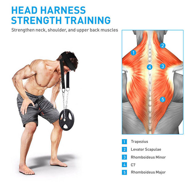 Neck Training | Strength Training Shoulders | Weight Lifting Head Neck Neck Training | Strength Training Shoulders | Weight Lifting Head Neck