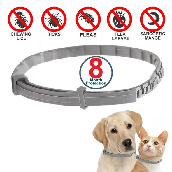 Dog Anti Flea And Tick Collars,Pet 8Month Protection Adjustable Collar For Large Dog Puppy Cat, Dogs Accessories Dog Anti Flea And Tick Collars,Pet 8Month Protection Adjustable Collar For Large Dog Puppy Cat, Dogs Accessories