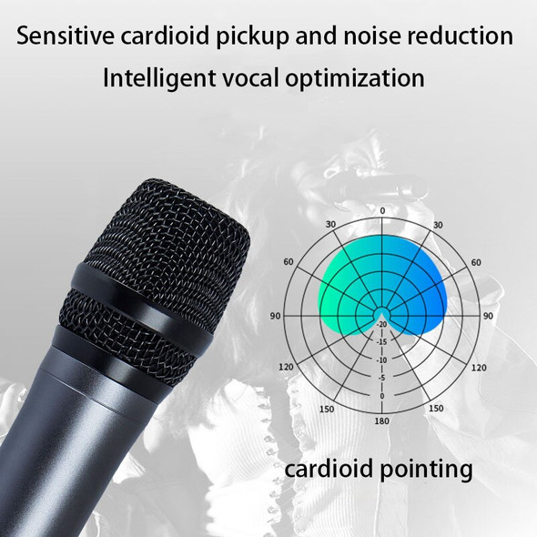 Wireless Microphone 2 Channel Handheld Dynamic Karaoke Microphone Uhf