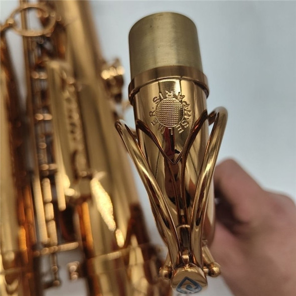 Tenor Saxophone Professional | Tenor Saxophone Instrument | R B Song