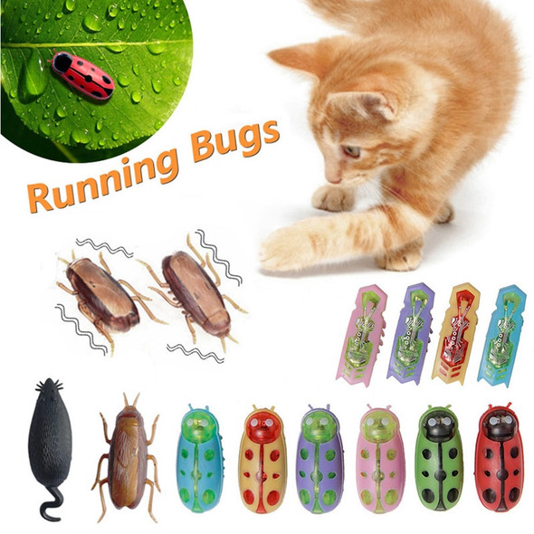 Cat Electric Toy Mini Bug Cat Toy Cockroach Ladybug Insect Pet Cat Toy Interactive Play Toy for Kitten Juguetes Para Gatos