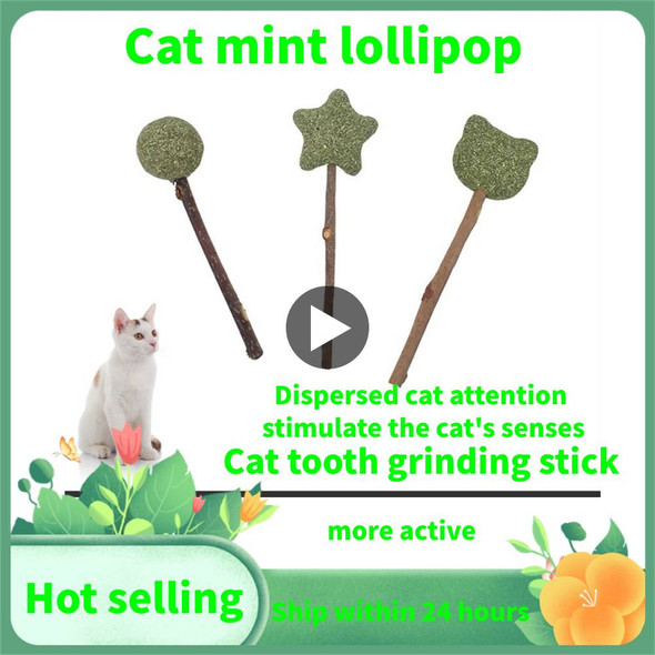 Pet Mint Lollipop Natural Cute Shape Multifunctional Promote Digestion Healthy Cat Accessoriespet Products Cat Catnip Toys