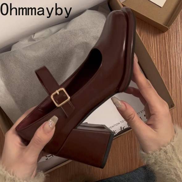 Gothic Platform Mary Jane Shoes 2023 Women Trendy Street Thick Heel Gothic Platform Mary Jane Shoes 2023 Women Trendy Street Thick Heel