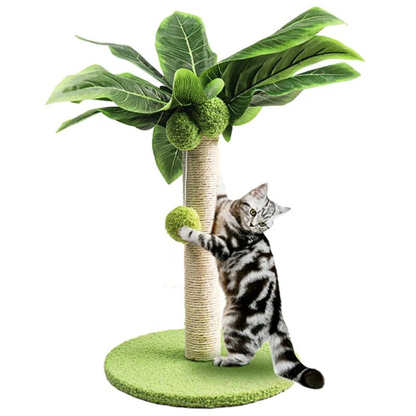 Cat Scratching Post for Cute Kittens Scratch Post 15 inch cat Scratching Poles with Hanging Ball and Sisal Rope for Indoor Cats