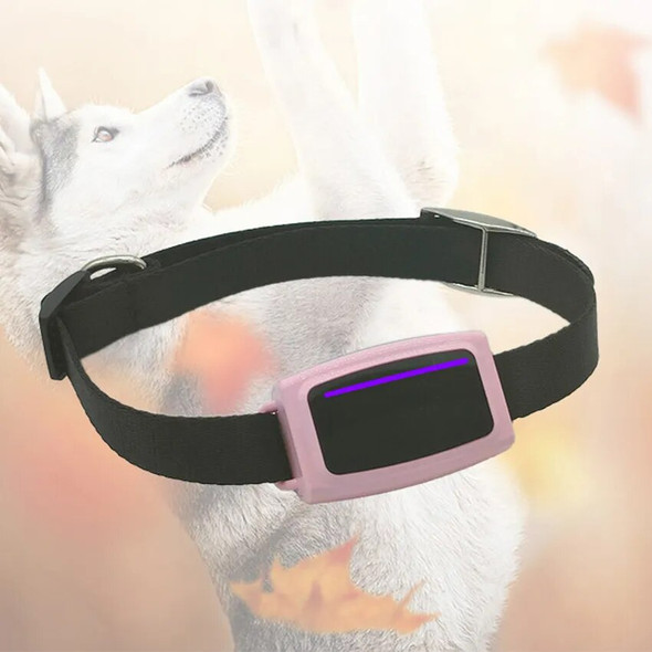 Best Seller 4G Mini GPS Animal Pet Dog Cat Cow Sheep Collare Collar Para Perro Con GPS Mascotas Tracker Tracer Tracking Device Best Seller 4G Mini GPS Animal Pet Dog Cat Cow Sheep Collare Collar Para Perro Con GPS Mascotas Tracker Tracer Tracking Device