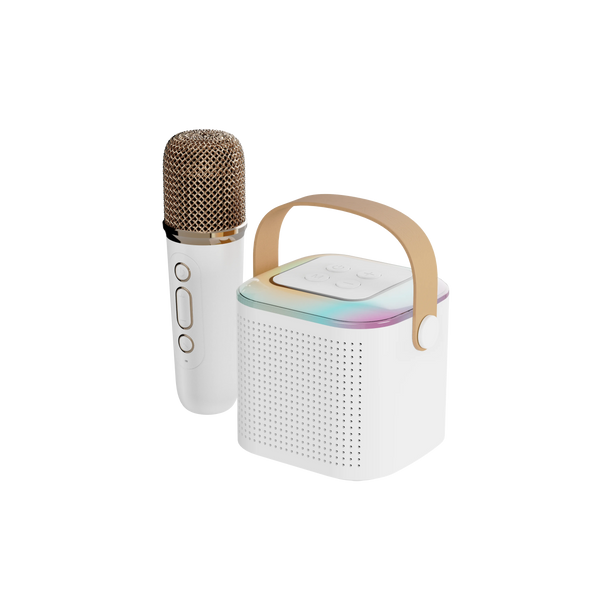 Dual Microphone Karaoke Machine Portable System with 1&2 Wireless Microphones for Home for Adults and Kids Bluetooth PA Speaker