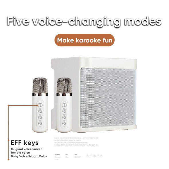 Dual Microphone Karaoke Machine for Adults and Kids Portable Bluetooth PA Speaker System with 2 Wireless Microphones for Home