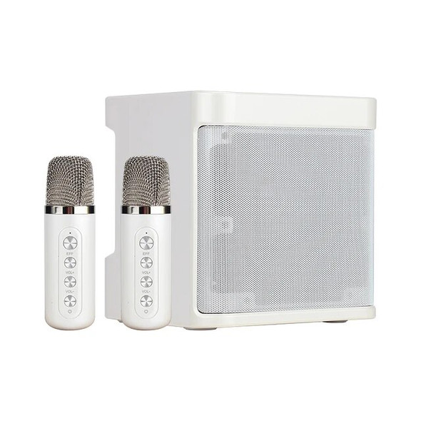 Dual Microphone Karaoke Machine for Adults and Kids Portable Bluetooth PA Speaker System with 2 Wireless Microphones for Home