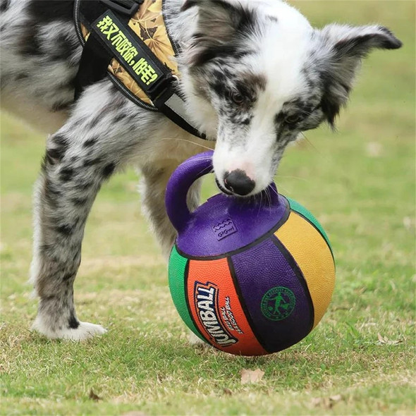 Pet Dog Toy Ball Sound Bite-Resistant Rubber Elastic Thorn Ball Small, Medium and Large Dog Training Interactive Game Ball