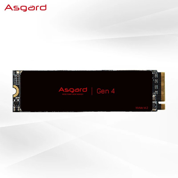 Asgard M2 512Gb PCIe 4.0 Lite SSD NVME 512Gb 1Tb 2Tb Solid State Drive Internal Hard Disk for Laptop Cache