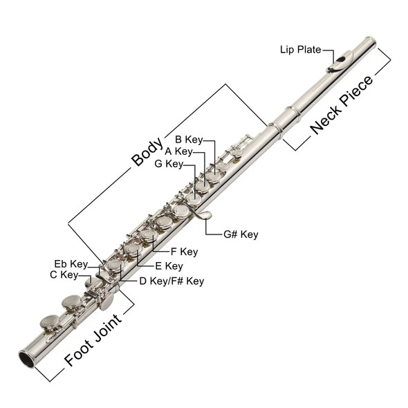 Pogolab Beginner C Flutes 16 Key Closed Hole Musical Instrument Set Cupronickel