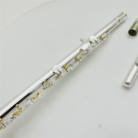 High Quality C Flute Silver Plated Copper Material 16 Keys Closed Hole Case