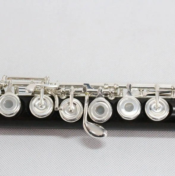 Professional Good Quality c tone 17 open holes OEM Chinese Instrument Grenadilla Silver Plated Ebony Flute