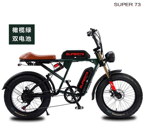 Electric Bike Power 50km/h Range Fat Tire Shock 20 Inch Soft Tail Electric Variable Speed Snow Assist Bicycle Drop Shipping