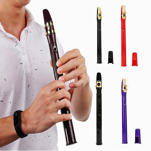 Mini Pocket Saxophone 8-Hole Mini Sax Kit With Reeds and Dental Pads Portable Woodwind Instrument Set Finger Charts Carrying Bag