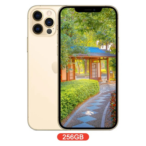 Apple iPhone 12 Pro Max 128GB/256GB ROM Unlocked 6.7" 2778 x 1284 OLED Screen A14 Bionic Chip 12MP Camera Face ID