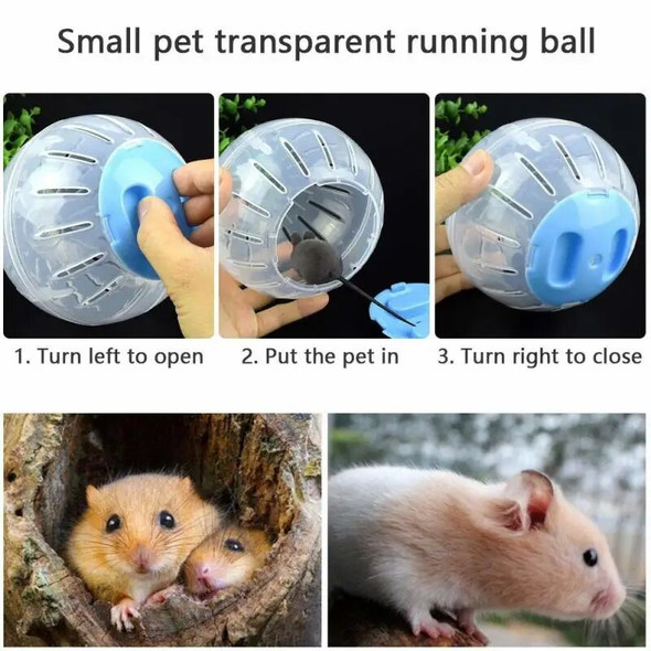 Pet Running Ball Plastic Grounder Jogging Hamster Pet Small Exercise Toy Hamster Accessories Pet Small Exercise Toy Dropship