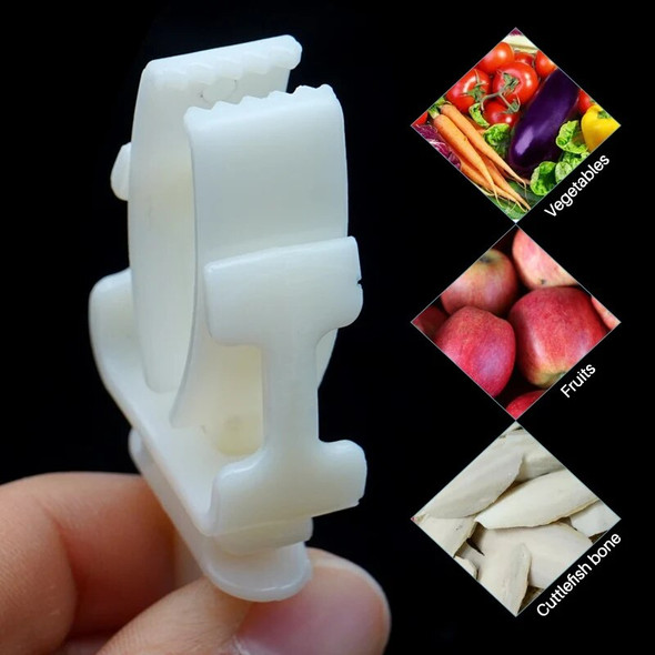 1Pcs Small Pet Bird Food Holder Parrot Fruits Vegetables Clip Cuttlefish Bone Feeder Device Clamp Bird Cage Accessories Oiseaux