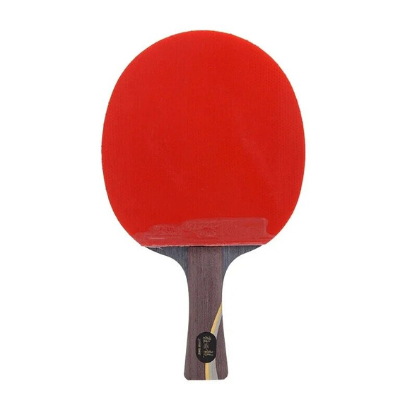 DHS Hurricane Ma Long Set Table Tennis Racket Arylate Carbon ALC Original Skyline 3 + Tinarc Rubber Ping Pong Racket with Bag