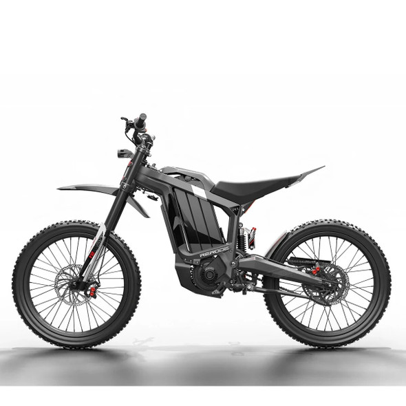Racing Motocross Silent Motor High Performance Electric Bike Mountain Bike R1 E Bike