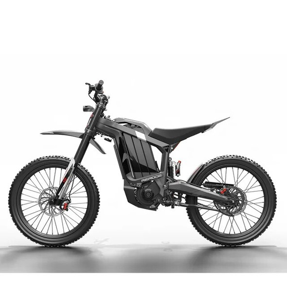 Racing Motocross Silent Motor High Performance Electric Bike Mountain Bike R1 E Bike