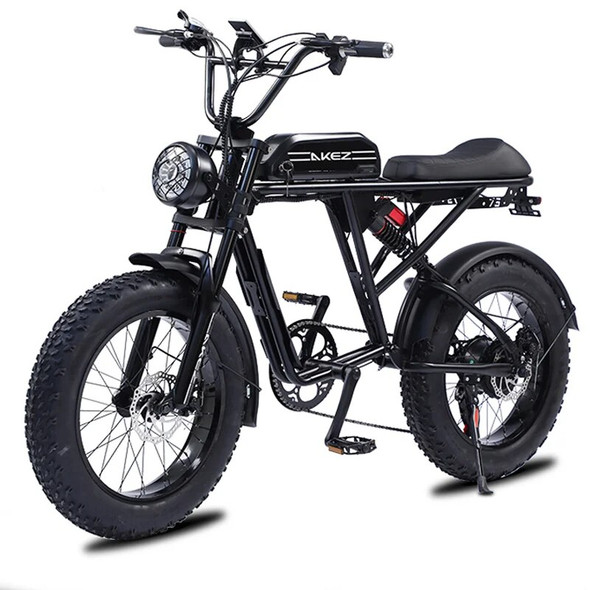 20 Inch Retro Two Wheel Electric Bike Soft Tail Double Snow Absorber Electric Bike On Thick Tires 26AH48v1500w Ebike