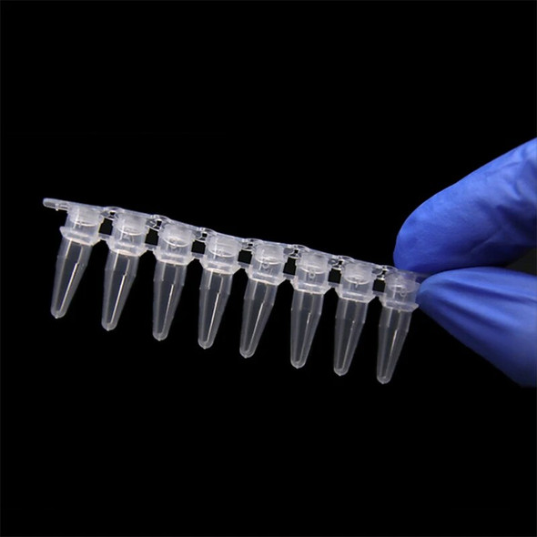 0.1/0.2ml Pcr 8 Strips Tube Lab Fluorescence Quantitative PCR 8 Tube Strip 200pcs PP Centrifuge Tube With Cover Medical Supplies