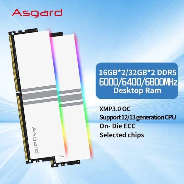 Asgard Valkyrie DDR5 RGB RAM Memory DDR5 RAM PC 16GB 32GB 64GB 6000MHz 6400MHz 6800MHz Performance for Desktop New