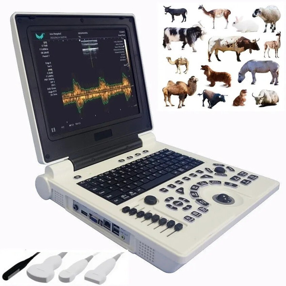 Free Shipping 12 inch LED Screen P20 Veterinary Ultrasound Scanner USG Farm Animals Pregnancy Vet Use