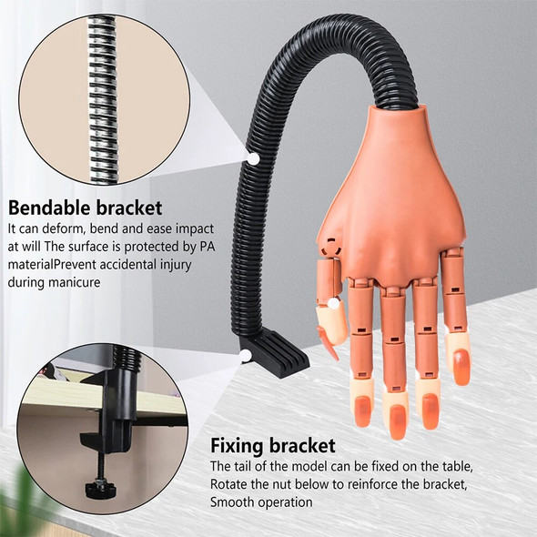 Practice Hand for Acrylic Nails Flexible Nail Practice Hands Training Movable Nail Maniquin Hand with 100 or 200PCS Nail Tips Practice Hand for Acrylic Nails Flexible Nail Practice Hands Training Movable Nail Maniquin Hand with 100 or 200PCS Nail Tips