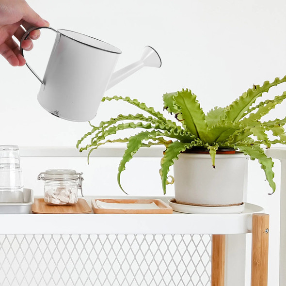 Kettle Watering Can Kettles Metal Indoor Small Sprinklers White Handheld Sprinkling Cans Garden