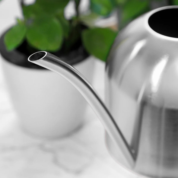 Stainless Steel Watering Can 1000ml Metal Watering Pot with Long Spout for Indoor Garden Plants Succulents Bonsai Accessories