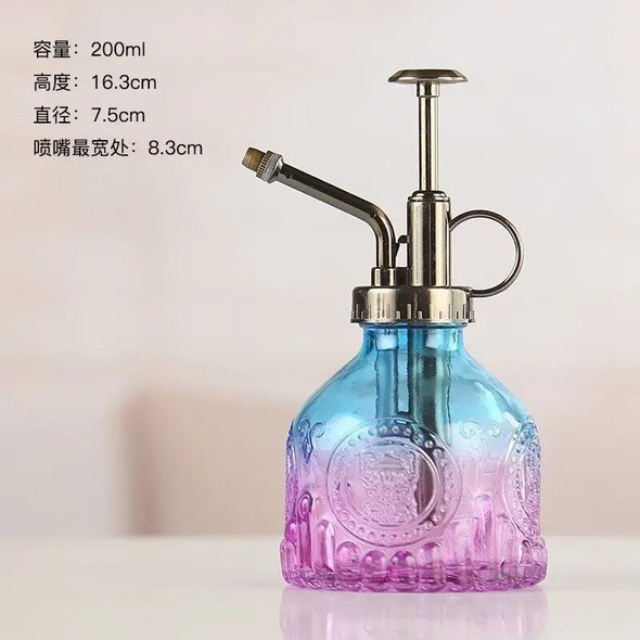 Bottle Glass Disinfection Air Household Small Watering Gardening Can Pressure Spray Embossed