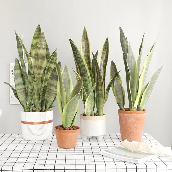 Artificial Plants for Home Garden Decoration Plastic Sansevieria Branch DIY Bonsai Outdoor Fake Plants