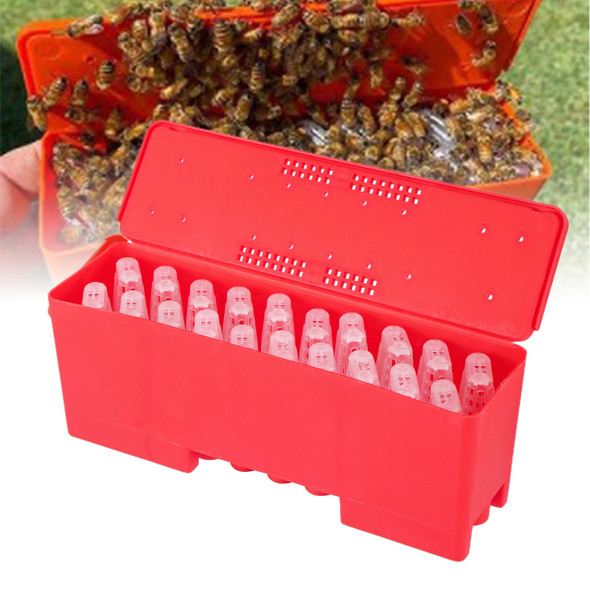 Beekeeper Supplies Queen Bee Transport Box With Queen Cages Rearing Equipment Queen Cell Plastic Incubator Beekeeping Tool 1 Set