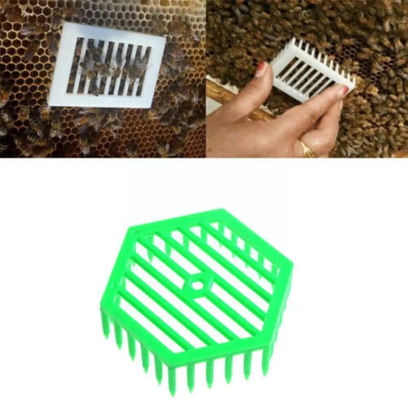 Beekeeping Plastic Queen Bee Catcher Beekeeping Bee Clip Equipment Cage Tools Beekeeper Supplies Marker Bee Equipment