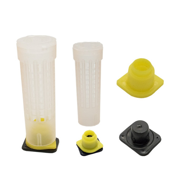 100PCS Wholesale Beekeeping Queen Bee Rearing System Protection Cages Plastic Tools Supplies Larva Anti Bite Equipemnt Farm