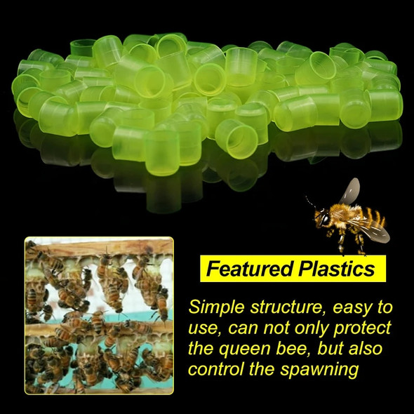 1 Set Beekeeping Cages King Queen Rearing System Plastic Bee Catcher Box Cell Cups Complete Kit Apicultura Tools Supplies